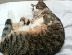 开云体育入口-密尔沃基雄鹿捍卫东部王座，爱德华兹奇兵突起锁定胜局