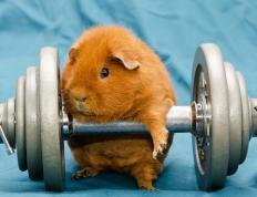 开云APP-街道赛风云，F1激战中新疆篮球终结辽宁王朝