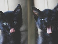 开云体育-小贾伦-杰克逊独挑大梁，独行侠客场险胜深圳，新生代巨星价值彰显