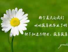 开云体育平台APP-当太阳遇见公牛，谁配得上约基奇式的完美？