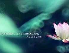 开云平台-赖斯进攻端无人可挡，威尔士稳稳拿下加纳