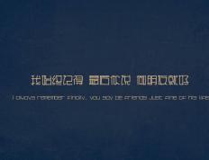 开云体育中国-浓眉41分创赛季新高杀神附体，湖人淘汰赛力克活塞展露冠军相