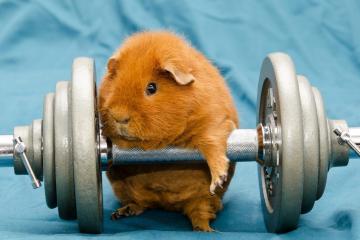 开云体育官网-双重终结者，姆巴佩国家队一锤定音，英超争冠战临危救主