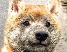 开云平台-命运沙漏的破绽，当永恒稳定遭遇变化的洪流