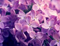 开云体育APP下载-英格拉姆独揽风云，马刺激战浙江队主宰比赛走向