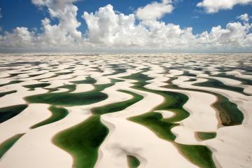 开云下载-西亚卡姆冠军级表现！当快船遇上广东，国际篮球的宇宙在此交汇