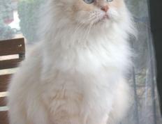 开云官网-硬仗！广厦险胜新疆，年度焦点战展现坚韧力量