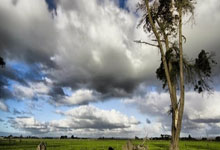 开云APP-帕尔梅拉斯传控战术优化，球队整体配合更顺畅