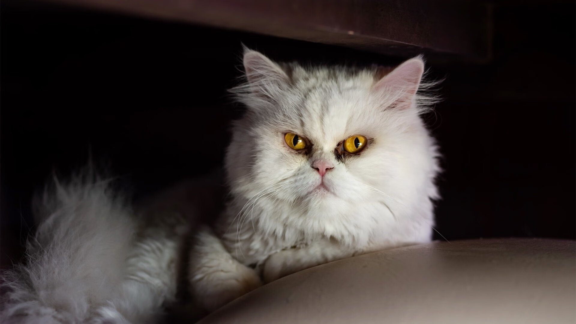 开云体育app-阿什拉夫一传一射导演逆转，加纳轻取皇马破百年神话