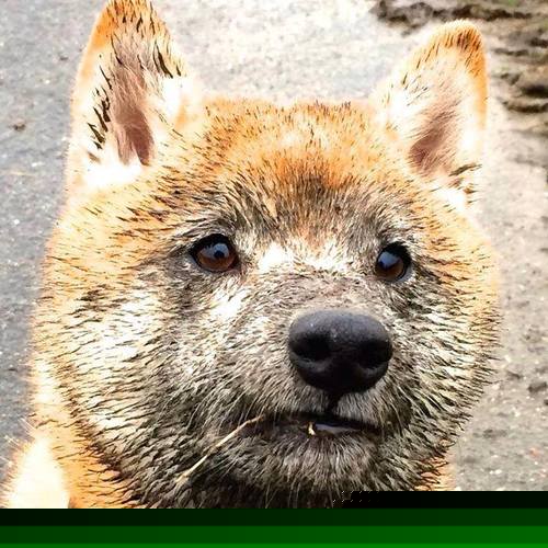 开云平台-命运沙漏的破绽，当永恒稳定遭遇变化的洪流