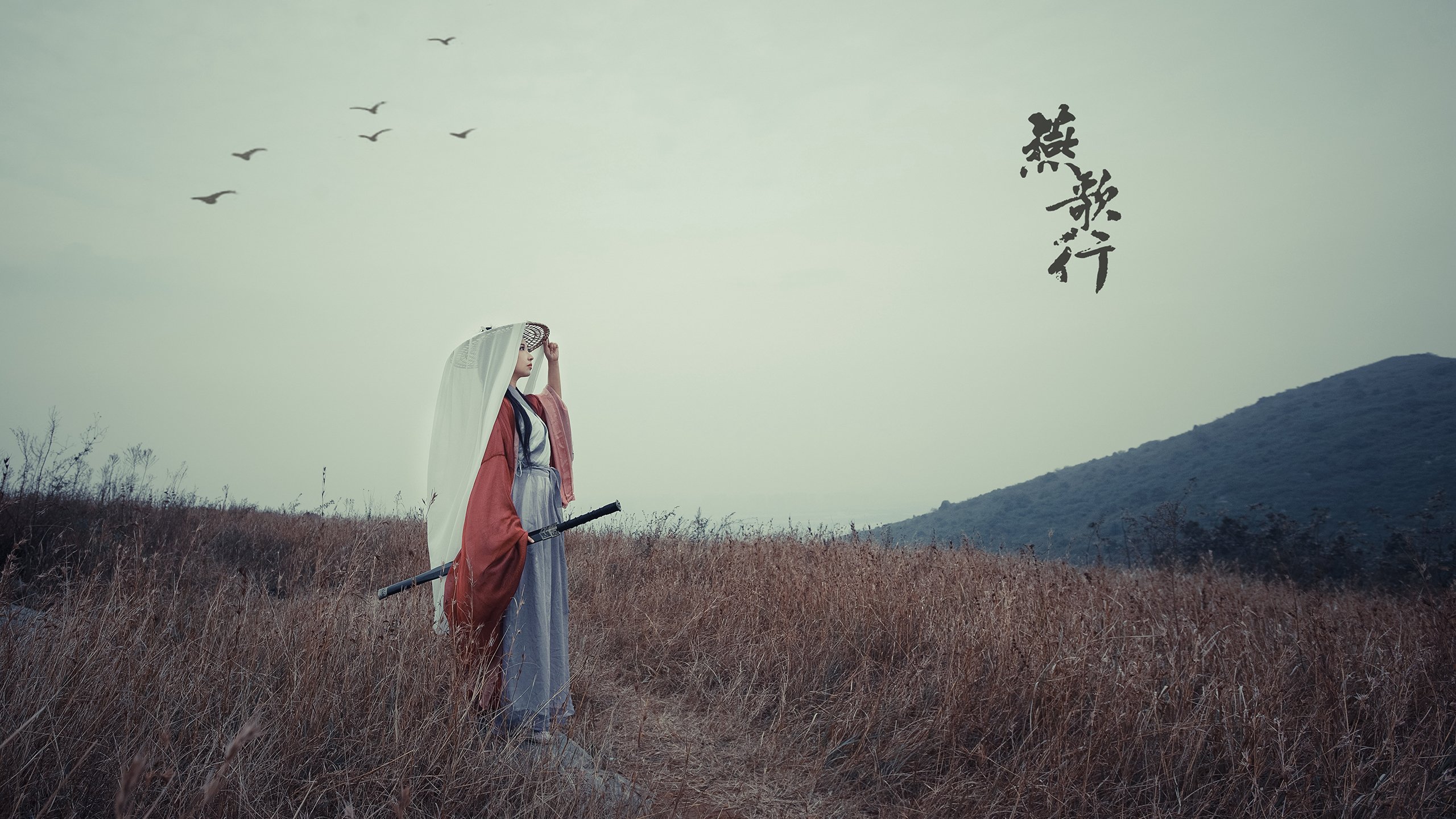 开云体育APP下载-双城记，尼克斯的团队利刃与莫兰特的孤星璀璨