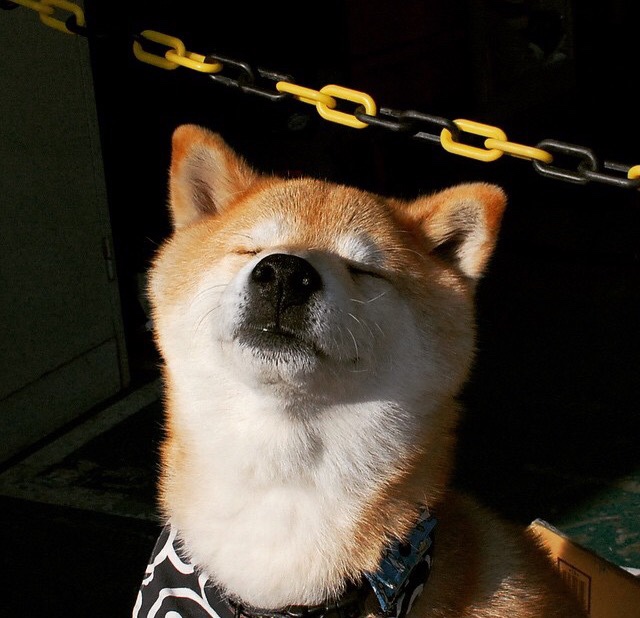 开云体育平台APP-高能输出的败局,爱德华兹狂飙47分,勇士更懂如何赢球