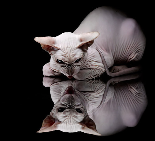 开云体育-魔笛奏响伊斯坦布尔之夜,厄德高如何以一人之力撕裂瑞士防线