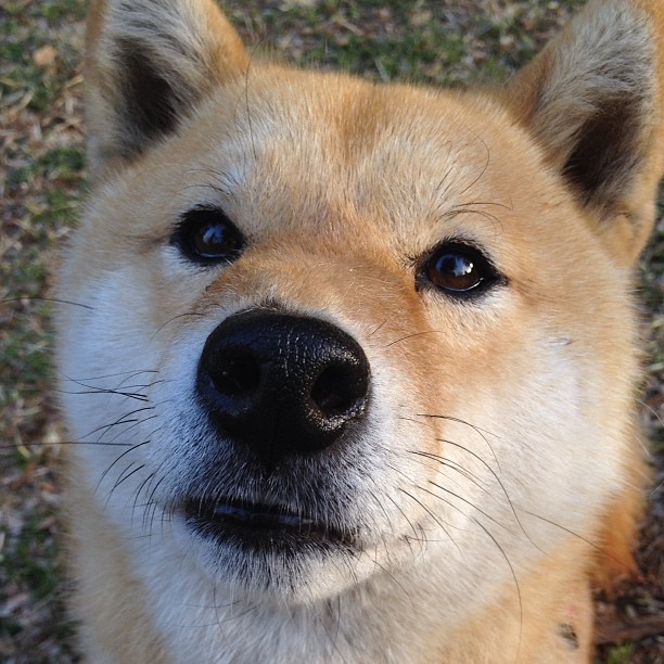 开云体育入口-西甲国家德比之夜,楚阿梅尼用实力粉碎质疑