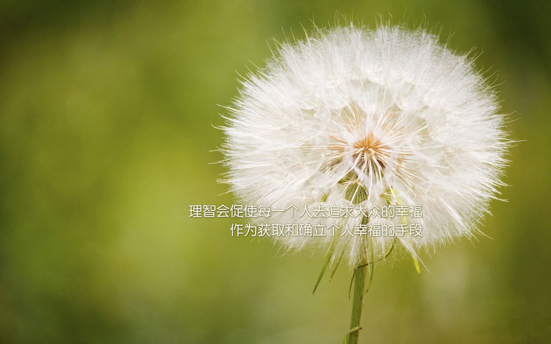 开云体育app-火山与航海日志,当安哥拉的冷火灼伤那不勒斯的神殿