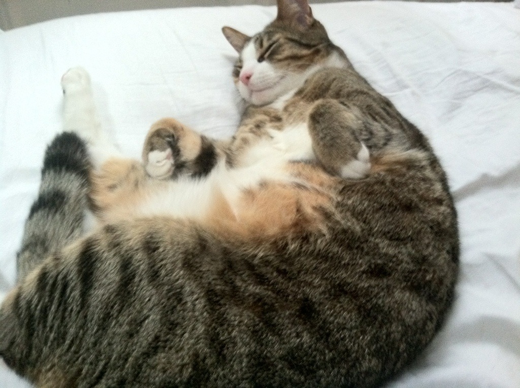 开云体育入口-密尔沃基雄鹿捍卫东部王座，爱德华兹奇兵突起锁定胜局