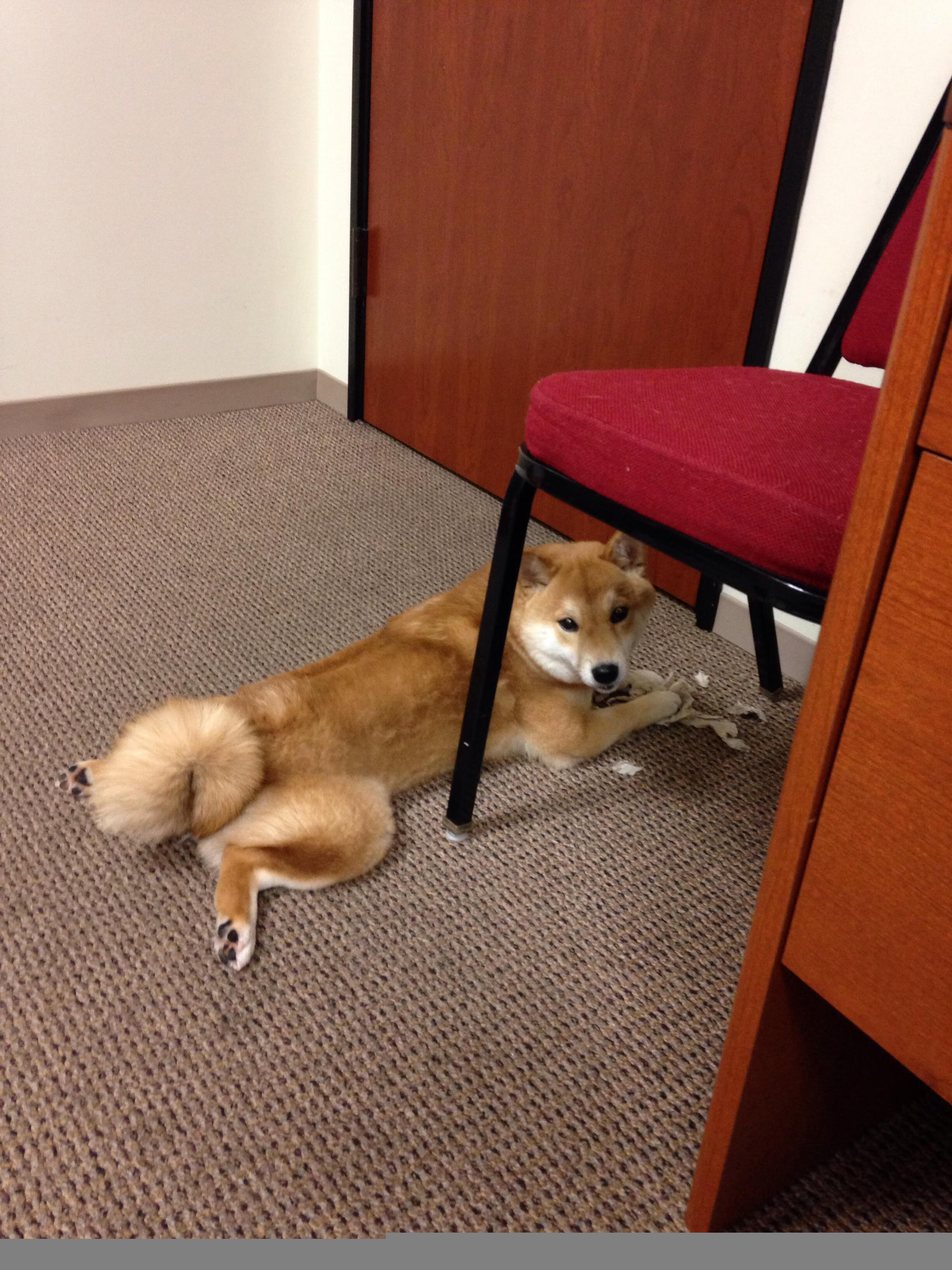 开云体育app-美加墨世界杯之夜,贝林厄姆关键回合不手软,英格兰新王加冕