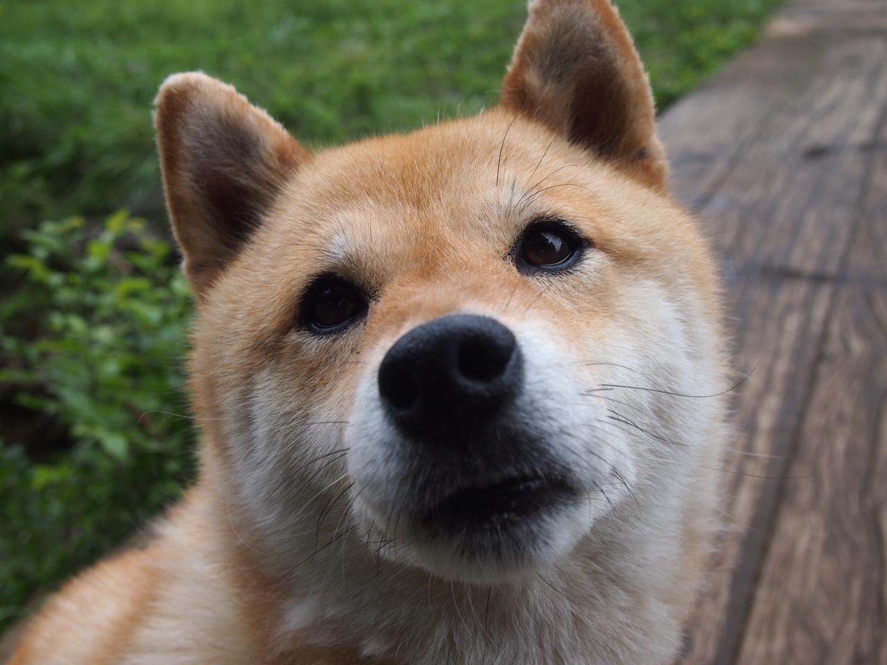 开云APP-苦战，终于等到英格拉姆这把钥匙