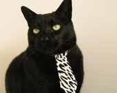 开云平台-浙江队节奏掌控如老鹰翱翔，克莱关键时刻定乾坤