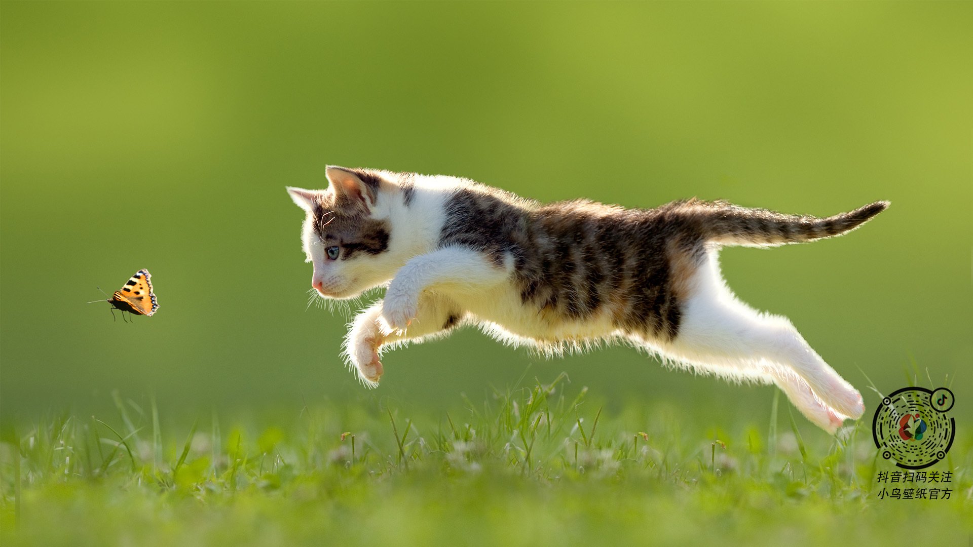 开云体育平台APP-关键先生利拉德引爆全场，热火压哨绝杀雷霆震撼全场