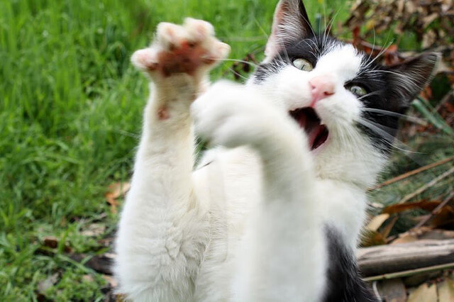 开云体育官网-东方绝杀映照西方传奇，浙江队惊魂一刻与字母哥的统治力