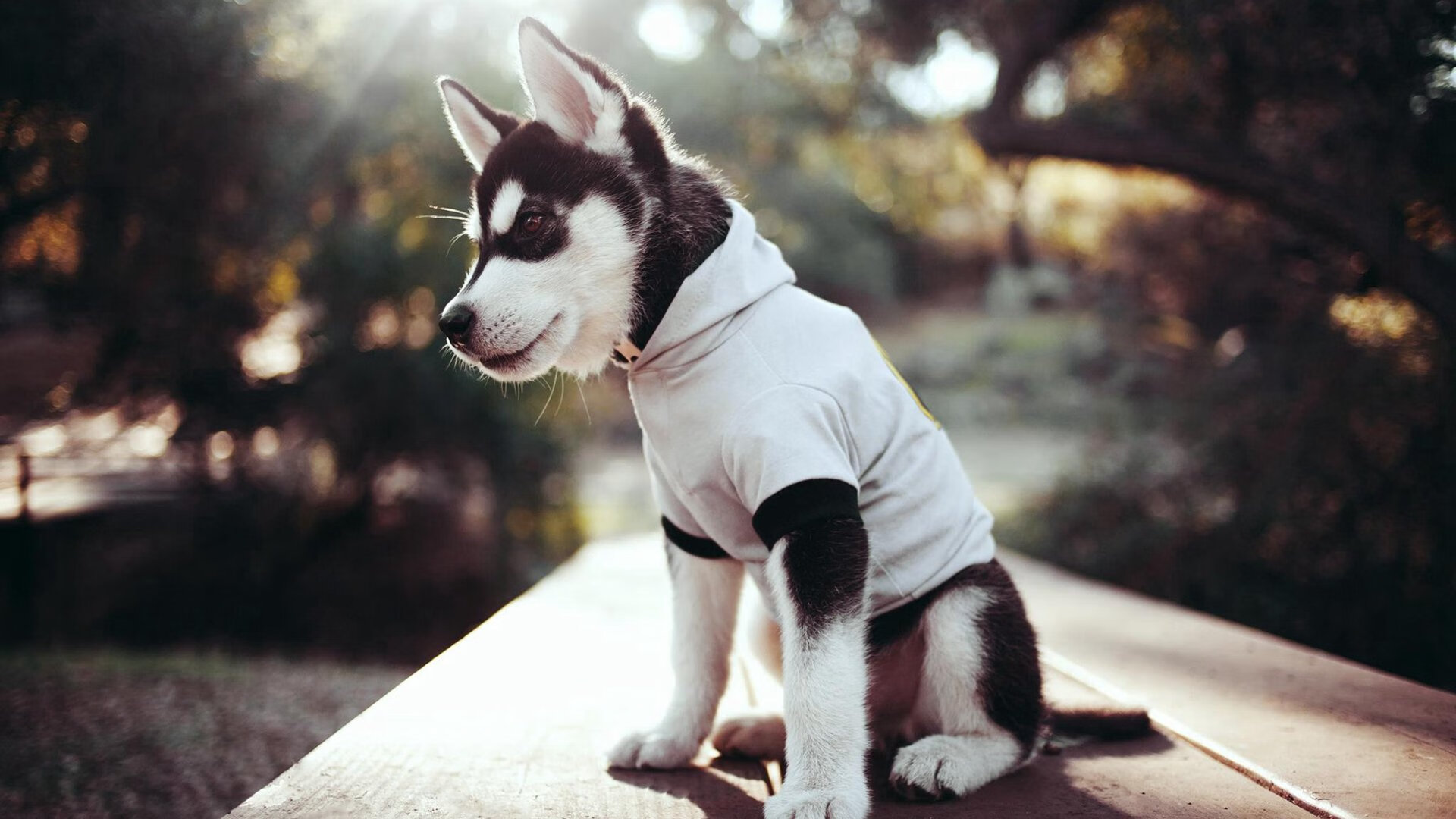 开云体育下载-防守的艺术，从斯通斯的致命封锁到尼罗河畔的无声博弈