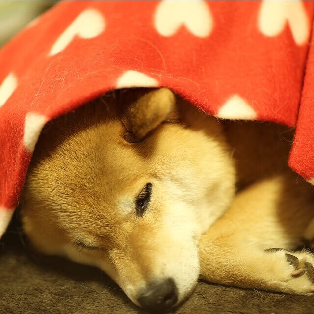 开云平台-赛道上演地中海烈焰，土耳其新星如何以精妙战术碾压墨西哥传奇