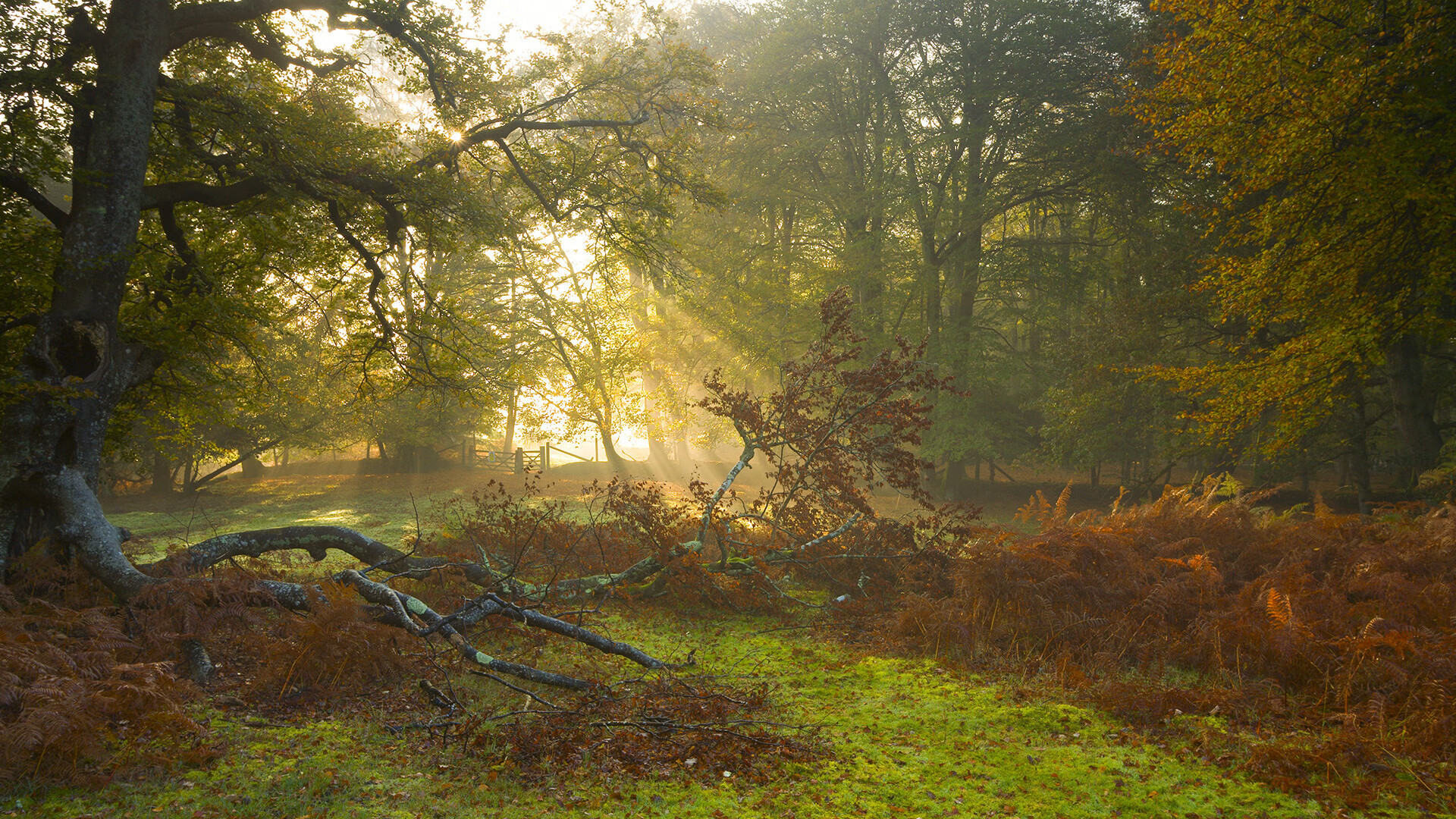 开云APP-钢铁之矛与数据洪流，当德罗赞锁死对手，勇士正用另一种方式赢下时代